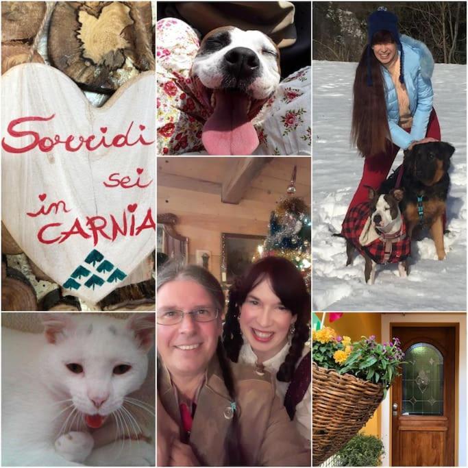 Holiday Guesthouse La Casina Di Butzi Pet Friendly - Terme Di Arta - Zoncolan Arta Terme Luaran gambar
