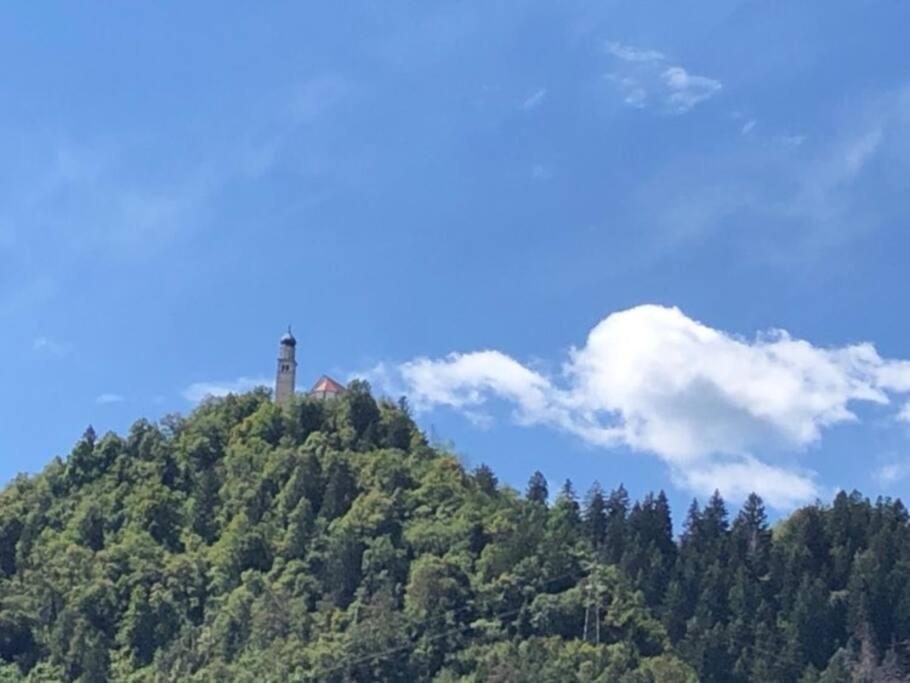 Holiday Guesthouse La Casina Di Butzi Pet Friendly - Terme Di Arta - Zoncolan Arta Terme Luaran gambar