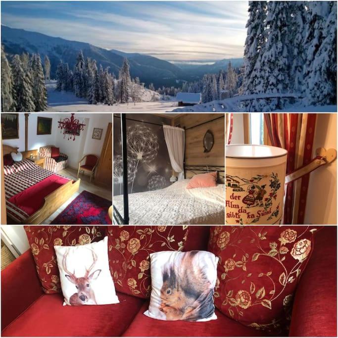 Holiday Guesthouse La Casina Di Butzi Pet Friendly - Terme Di Arta - Zoncolan Arta Terme Luaran gambar