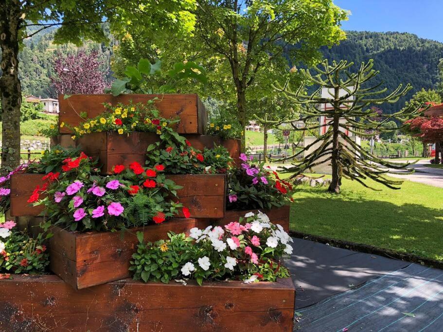 Holiday Guesthouse La Casina Di Butzi Pet Friendly - Terme Di Arta - Zoncolan Arta Terme Luaran gambar