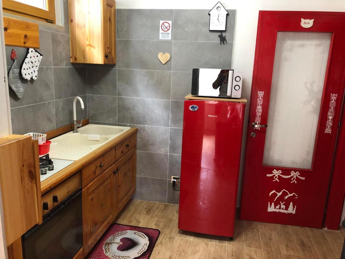 Holiday Guesthouse La Casina Di Butzi Pet Friendly - Terme Di Arta - Zoncolan Arta Terme Luaran gambar