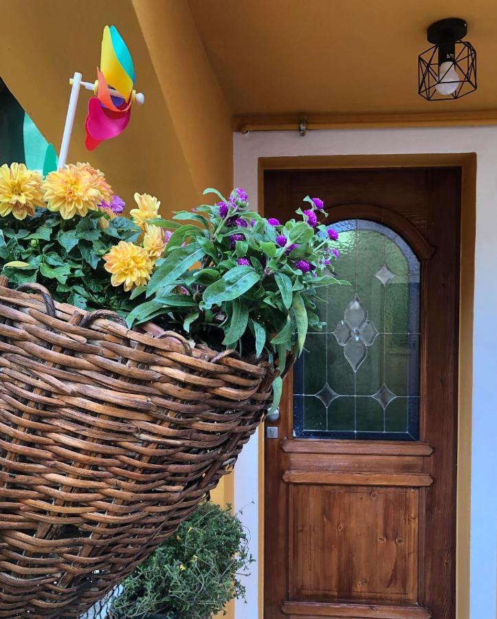 Holiday Guesthouse La Casina Di Butzi Pet Friendly - Terme Di Arta - Zoncolan Arta Terme Luaran gambar