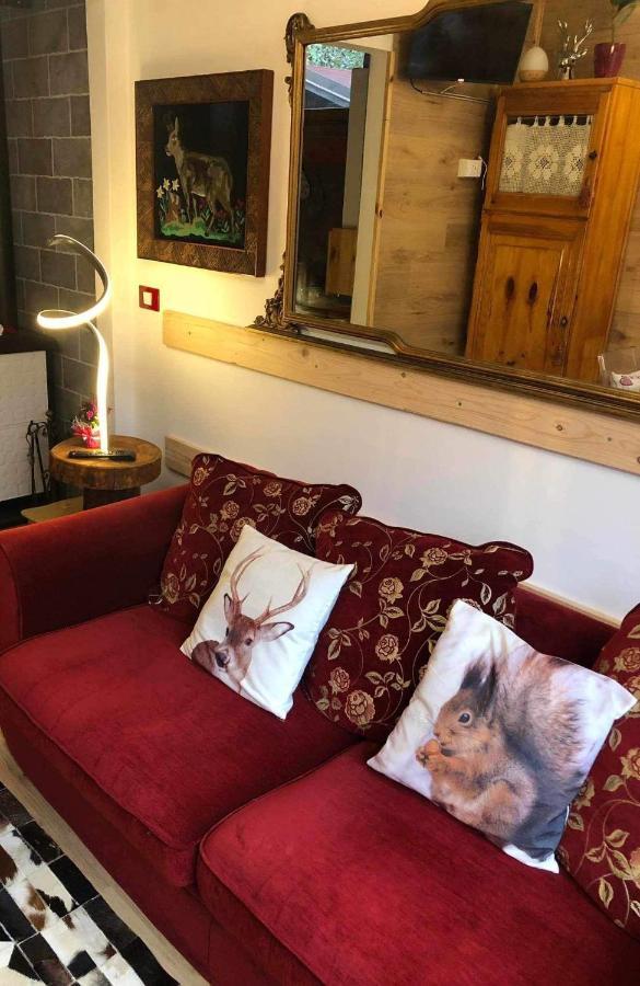 Holiday Guesthouse La Casina Di Butzi Pet Friendly - Terme Di Arta - Zoncolan Arta Terme Luaran gambar