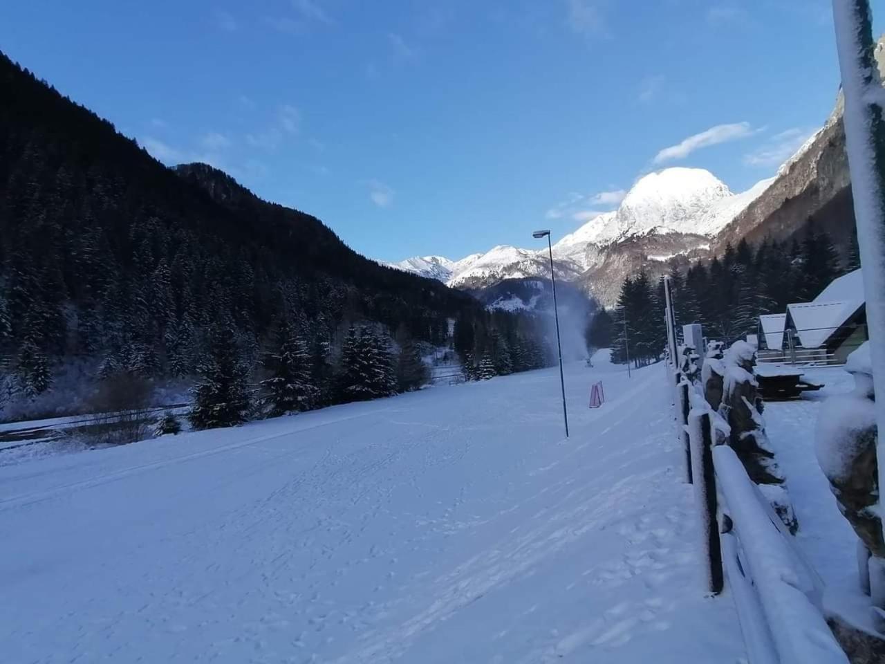 Holiday Guesthouse La Casina Di Butzi Pet Friendly - Terme Di Arta - Zoncolan Arta Terme Luaran gambar