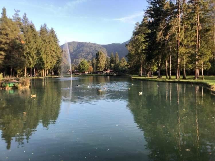 Holiday Guesthouse La Casina Di Butzi Pet Friendly - Terme Di Arta - Zoncolan Arta Terme Luaran gambar